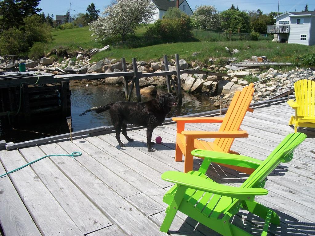 Sal'S Bed And Breakfast By The Sea Herring Cove Exterior foto